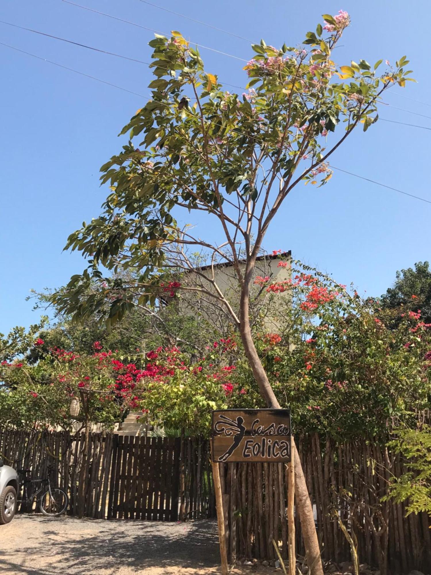 Casa Eolica 호텔 바라 그란데 외부 사진
